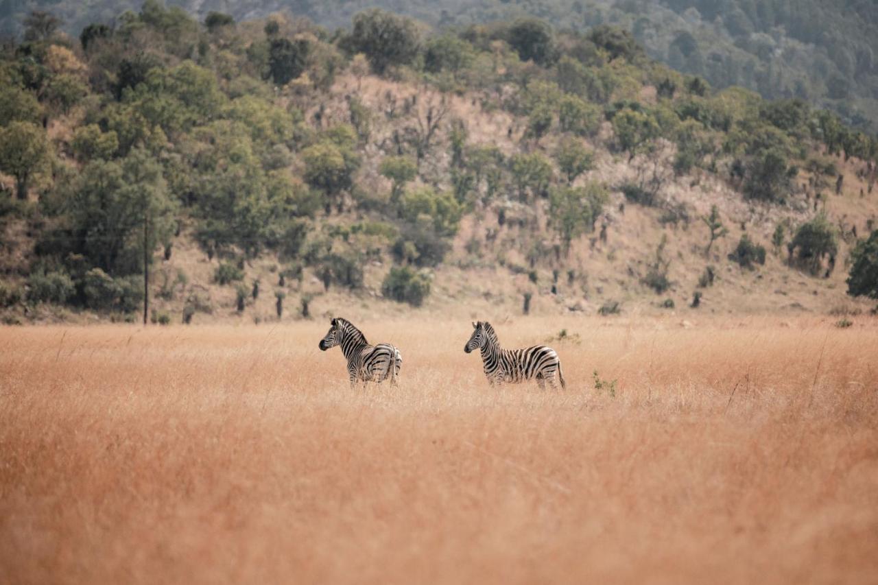Dawsons Game Lodge บาดพลาส ภายนอก รูปภาพ