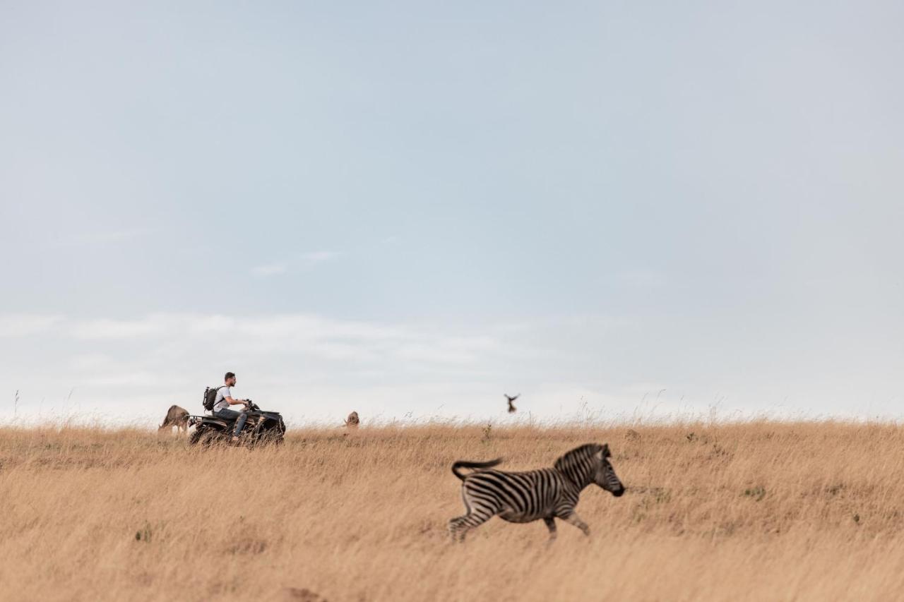 Dawsons Game Lodge บาดพลาส ภายนอก รูปภาพ